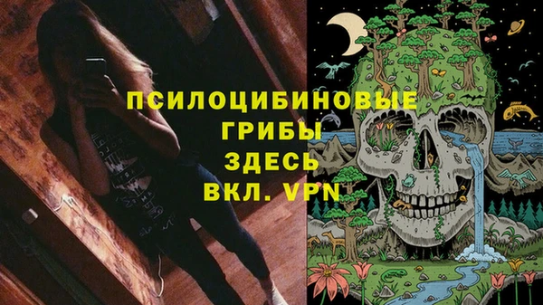 a pvp Алексеевка