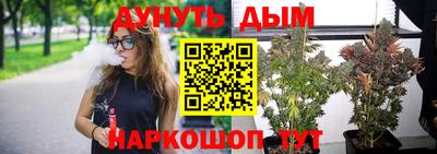 индика Владикавказ