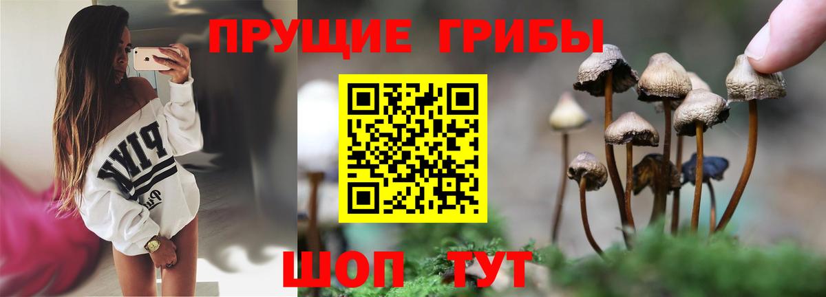 Псилоцибиновые грибы Magic Shrooms  Вход с VPN  Старый Оскол  Псилоцибиновые грибы GOLDEN TEACHER 